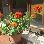 B&B Casa Patavina
