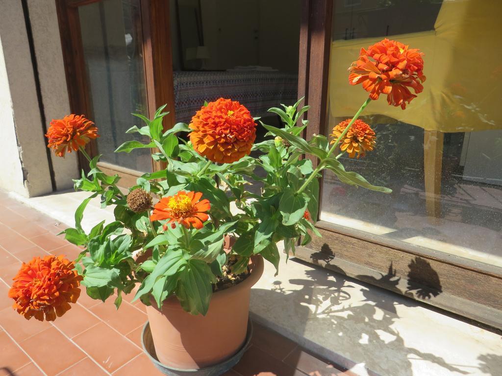 Casa Patavina 3*