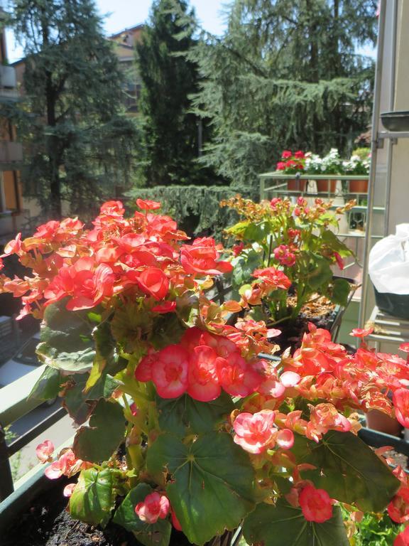 Bed & Breakfast Casa Patavina 3*