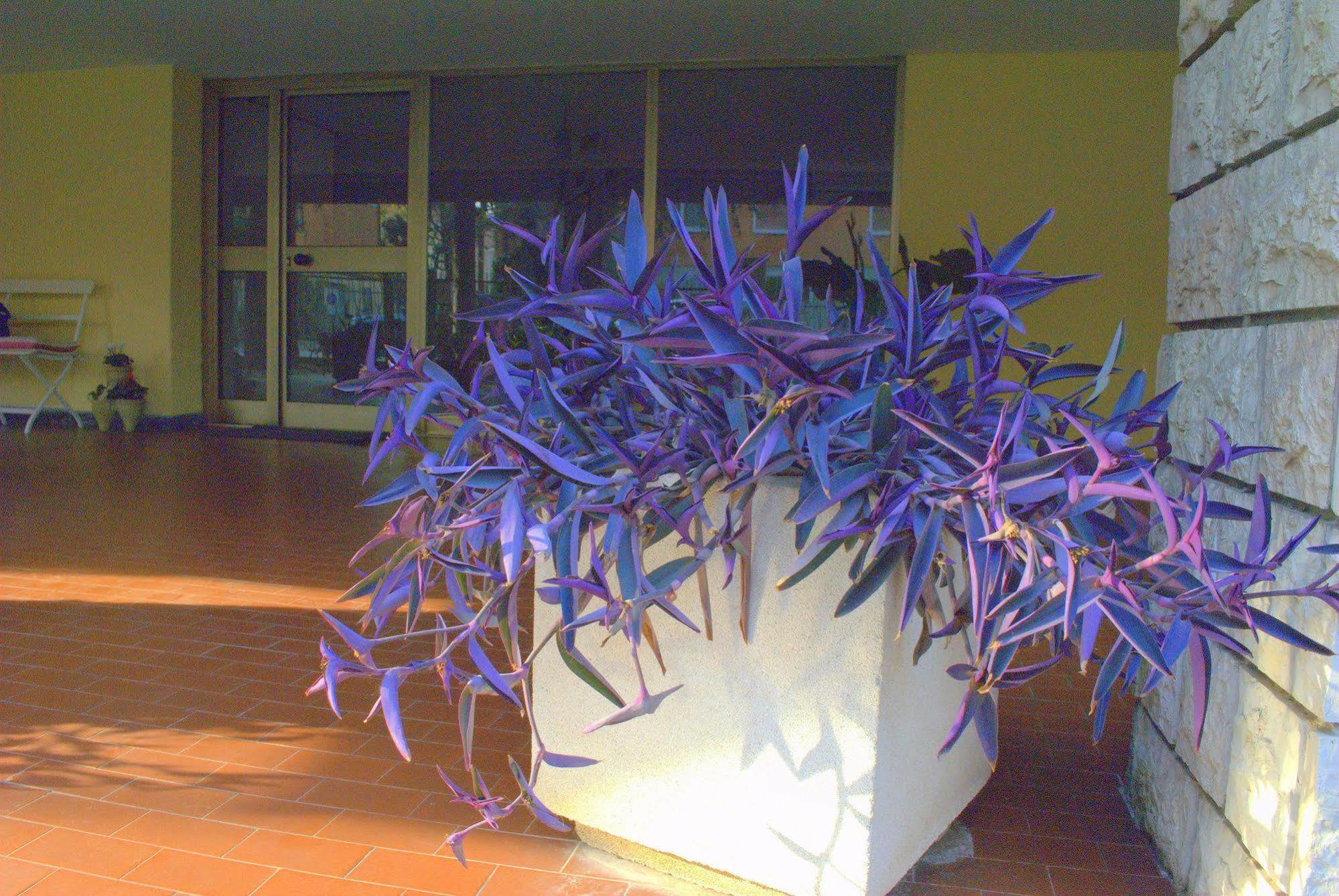 Casa Patavina 3*